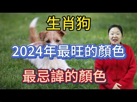 生肖狗幸運色|【屬狗的幸運顏色】解開2024屬狗幸運色之謎！提升。